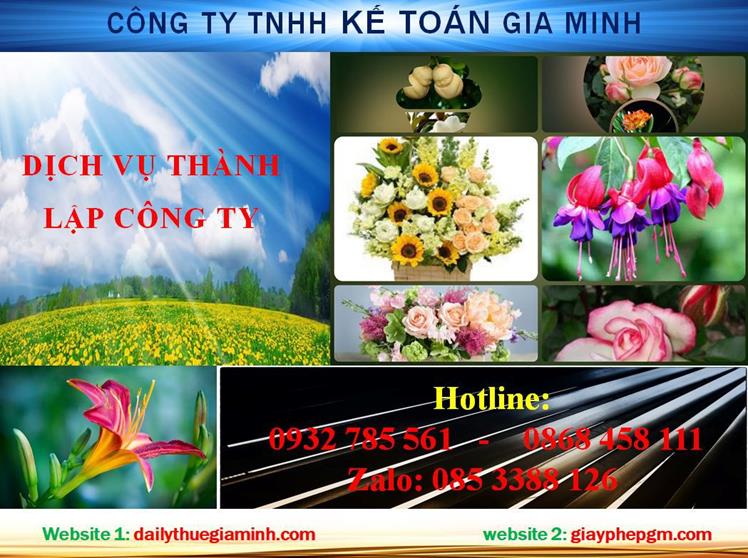 Dịch vụ thành lập chi nhánh công ty tại Quận Bình Thủy 4 Thủ tục thành lập chi nhánh công ty tại Quận Bình Thủy