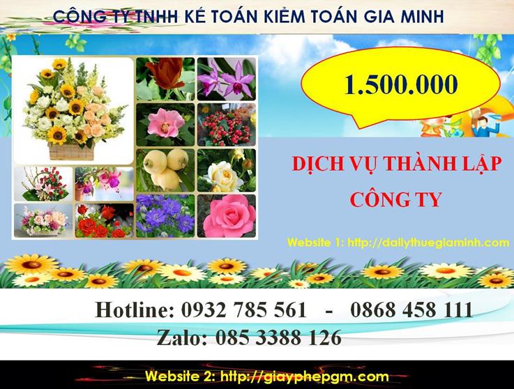 Chi phí dịch vụ thành lập chi nhánh công ty tại Quận Cẩm Lệ
