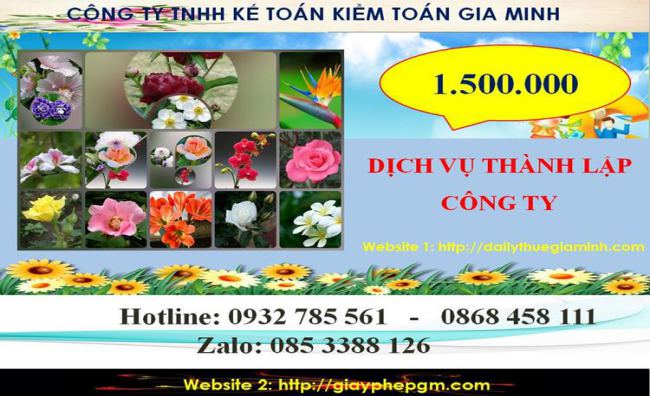 Chi phí dịch vụ thành lập chi nhánh công ty tại Thị xã Bến Cát