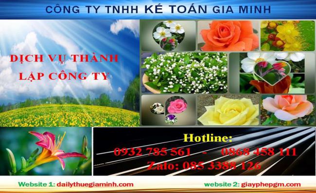 Thủ tục thành lập chi nhánh công ty tại Thị xã Bến Cát