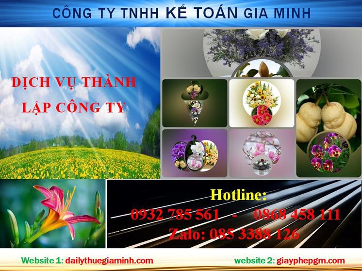 Thủ tục thành lập chi nhánh công ty tại Thị xã Hương Thủy