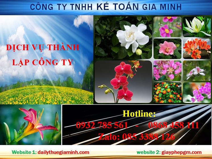 Thủ tục thành lập chi nhánh công ty tại Thị xã Hương Trà