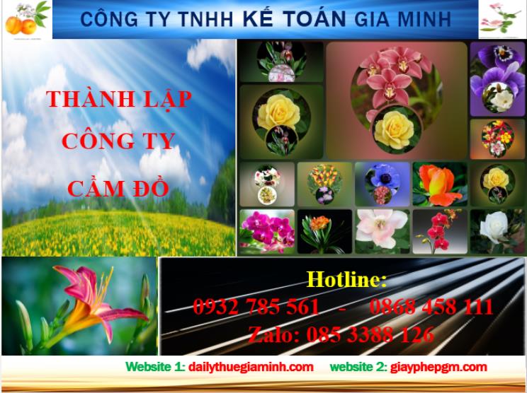 Thành lập công ty cầm đồ tại Đồng Tháp 4 Dịch vụ thành lập công ty cầm đồ tại Đồng Tháp