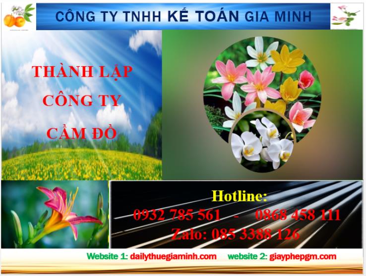 Thành lập công ty cầm đồ tại Hải Dương 1 Dịch vụ thành lập công ty cầm đồ tại Hải Dương