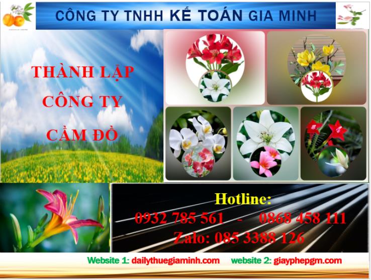 Thành lập công ty cầm đồ tại Hải Phòng 4 Dịch vụ thành lập công ty cầm đồ tại Hải Phòng