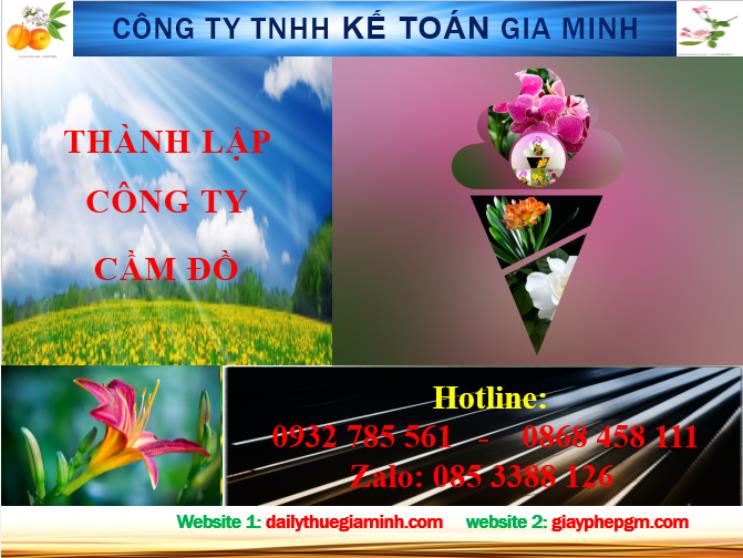 Thành lập công ty cầm đồ tại Lai Châu 4 Dịch vụ thành lập công ty cầm đồ tại Lai Châu