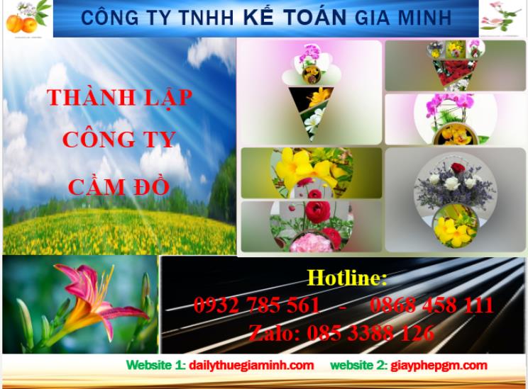Thành lập công ty cầm đồ tại Nam Định 4 Dịch vụ thành lập công ty cầm đồ tại Nam Định