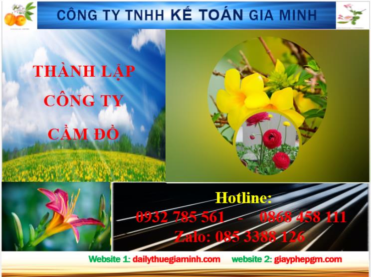 Thành lập công ty cầm đồ tại Ninh Bình 4 Dịch vụ thành lập công ty cầm đồ tại Ninh Bình