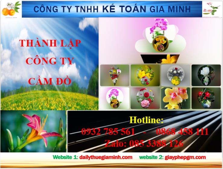 Thành lập công ty cầm đồ tại Thái Bình 4 Dịch vụ thành lập công ty cầm đồ tại Thái Bình