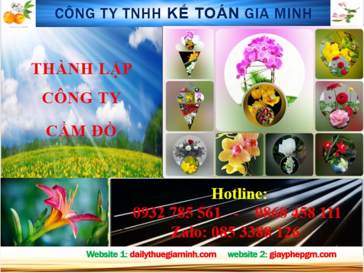 Thành lập công ty cầm đồ tại Tiền Giang 4 Dịch vụ thành lập công ty cầm đồ tại Tiền Giang