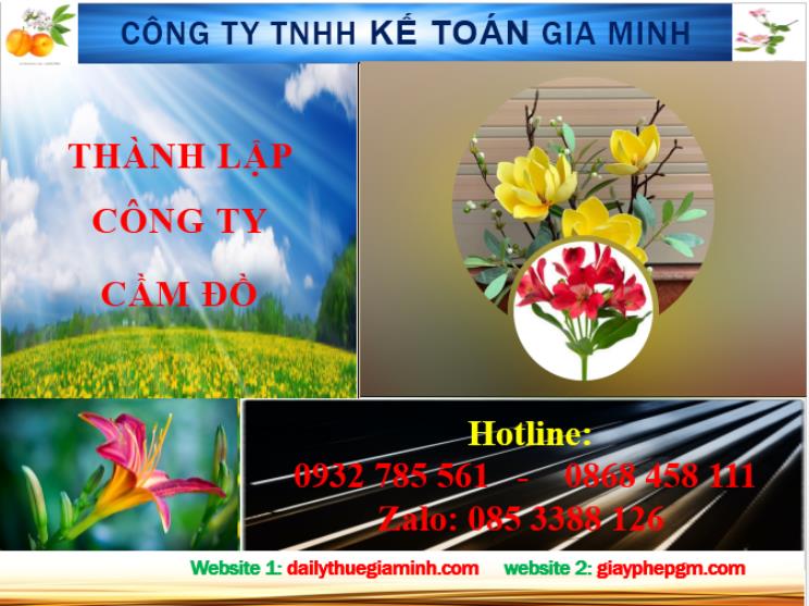 Thành lập công ty cầm đồ tại Tuyên Quang 4 Dịch vụ thành lập công ty cầm đồ tại Tuyên Quang
