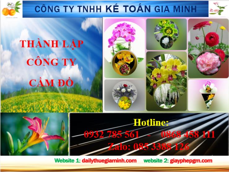 Thành lập công ty cầm đồ tại Vĩnh Phúc 4 Dịch vụ thành lập công ty cầm đồ tại Vĩnh Phúc