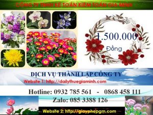 Dịch vụ thành lập công ty cổ phần ở Hà Giang 5 Bảng giá thành lập công ty cổ phần tại Hà Giang
