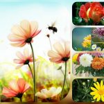 Dịch vụ thành lập công ty cổ phần ở Hải Dương 6 Muốn thành lập công ty cổ phần ở Hải Dương