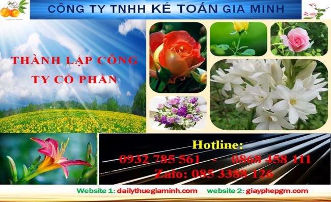 Dịch vụ thành lập công ty cổ phần ở Hải Phòng 4 Dịch vụ thành lập công ty cổ phần ở Hải Phòng