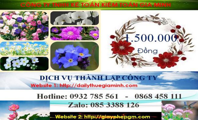 Dịch vụ thành lập công ty cổ phần ở Hải Phòng 5 Bảng giá thành lập công ty cổ phần tại Hải Phòng