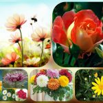 Dịch vụ thành lập công ty cổ phần ở Hải Phòng 6 Muốn thành lập công ty cổ phần ở Hải Phòng