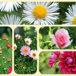 Dịch vụ thành lập công ty cổ phần ở Hưng Yên 6 Muốn thành lập công ty cổ phần ở Hưng Yên