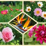 Muốn thành lập công ty cổ phần ở  Kiên Giang 