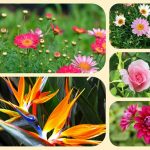 Dịch vụ thành lập công ty cổ phần ở Thái Nguyên 6 Muốn thành lập công ty cổ phần ở Thái Nguyên