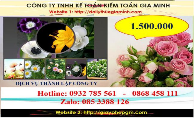 Chi phí thành lập công ty du lịch tại Bắc Kạn