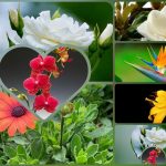 Dịch vụ thành lập công ty du lịch tại Bến Tre 6 Muốn thành lập công ty du lịch tại Bến Tre