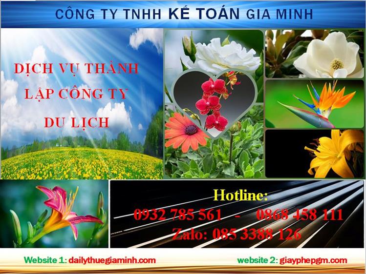 Thủ tục thành lập công ty du lịch tại Bình Định