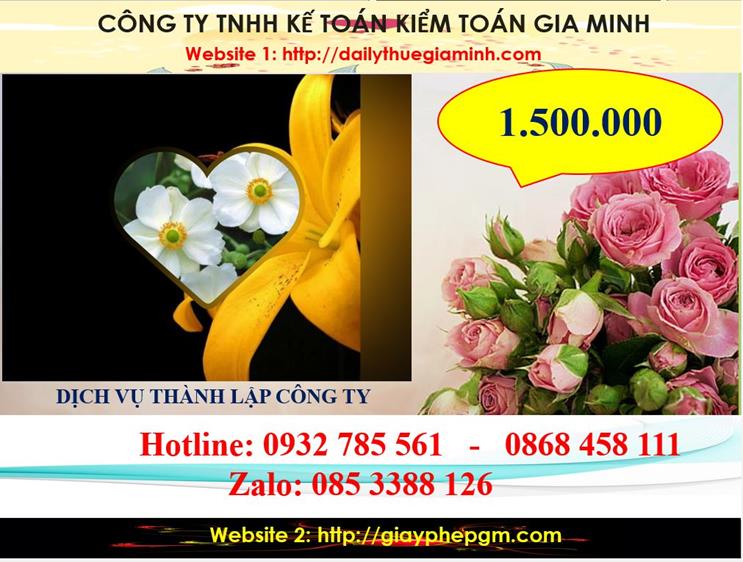 Chi phí thành lập công ty du lịch tại Bình Định