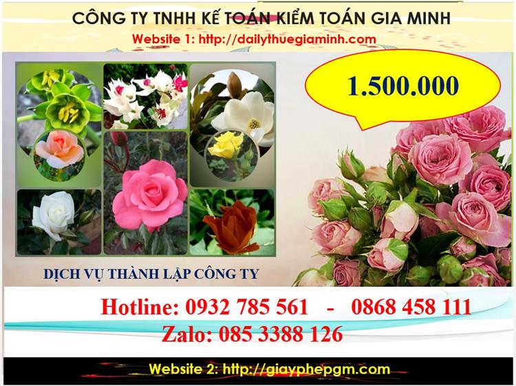 Dịch vụ thành lập công ty du lịch tại Điện Biên 5 Chi phí thành lập công ty du lịch tại Điện Biên