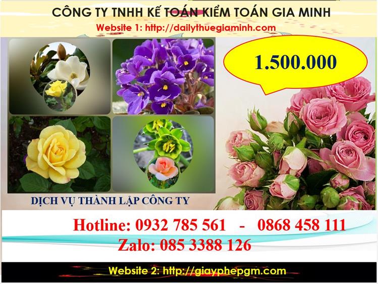 Dịch vụ thành lập công ty du lịch tại Đồng Tháp 5 Chi phí thành lập công ty du lịch tại Đồng Tháp