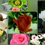 Dịch vụ thành lập công ty du lịch tại Đồng Tháp 6 Muốn thành lập công ty du lịch tại Đồng Tháp