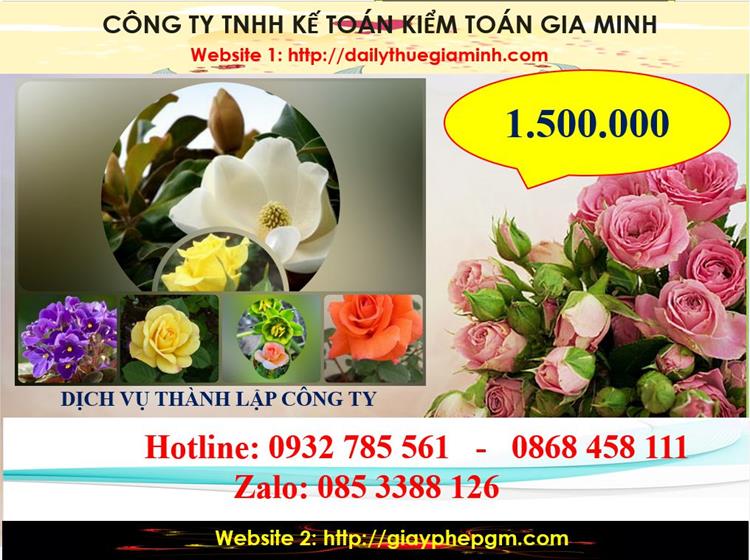 Dịch vụ thành lập công ty du lịch tại Hải Phòng 5 Chi phí thành lập công ty du lịch tại Hải Phòng