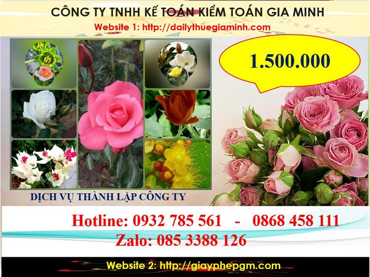 Chi phí thành lập công ty du lịch tại huyện Hoài Đức