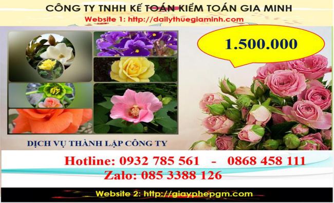 Dịch vụ thành lập công ty du lịch tại Kiên Giang 5 Chi phí thành lập công ty du lịch tại Kiên Giang