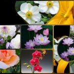 Dịch vụ thành lập công ty du lịch tại Kiên Giang 6 Muốn thành lập công ty du lịch tại Kiên Giang