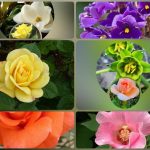 Dịch vụ thành lập công ty du lịch tại Lâm Đồng 6 Muốn thành lập công ty du lịch tại Lâm Đồng