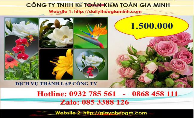 Dịch vụ thành lập công ty du lịch tại Lạng Sơn 5 Chi phí thành lập công ty du lịch tại Lạng Sơn