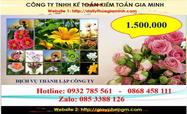 Dịch vụ thành lập công ty du lịch tại Nam Định 5 Chi phí thành lập công ty du lịch tại Nam Định