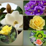 Dịch vụ thành lập công ty du lịch tại Nam Định 6 Muốn thành lập công ty du lịch tại Nam Định