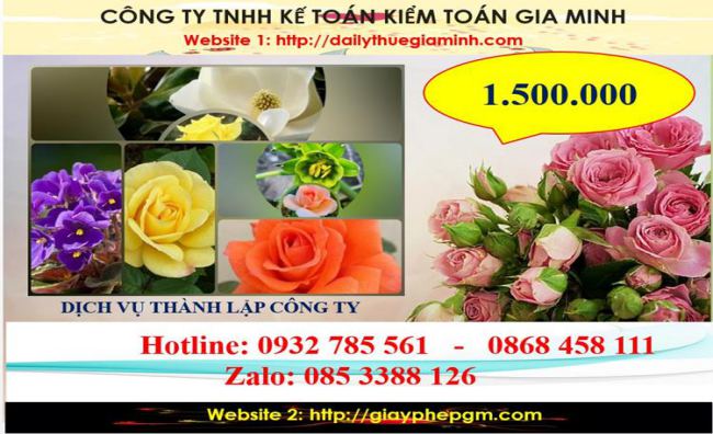 Dịch vụ thành lập công ty du lịch tại Phú Thọ 5 Chi phí thành lập công ty du lịch tại Phú Thọ