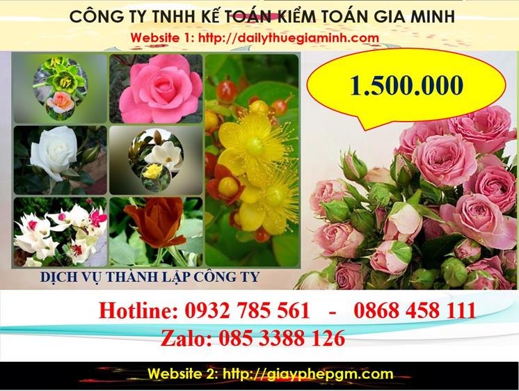 Dịch vụ thành lập công ty du lịch tại Sơn La 5 Chi phí thành lập công ty du lịch tại Sơn La
