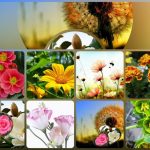 Dịch vụ thành lập công ty du lịch tại Sơn La 6 Muốn thành lập công ty du lịch tại Sơn La