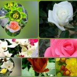 Dịch vụ thành lập công ty du lịch tại Vũng Tàu 6 Muốn thành lập công ty du lịch tại Vũng Tàu