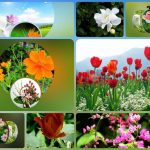 Muốn thành lập doanh nghiệp kinh doanh khách sạn Huyện Hóc Môn