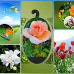 Muốn thành lập doanh nghiệp kinh doanh khách sạn tại Quận 12