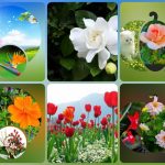 Đăng ký thành lập công ty tại Bắc Kạn 6 Muốn đăng ký thành lập công ty tại Bắc Kạn