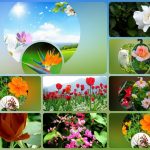 Muốn đăng ký thành lập công ty tại Bình Định