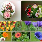 Đăng ký thành lập công ty tại Cần Thơ 6 Muốn đăng ký thành lập công ty tại Cần Thơ