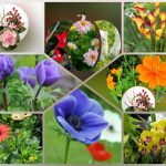 Đăng ký thành lập công ty tại Điện Biên 6 Muốn đăng ký thành lập công ty tại Điện Biên