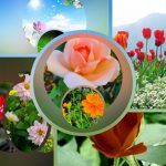 Đăng ký thành lập công ty tại Hà Nam 6 Muốn đăng ký thành lập công ty tại Hà Nam
